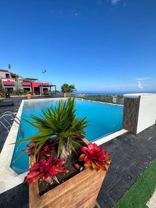 Casa Bella Vista @ Pyramid Point Villa Ocho Rios Exteriör bild